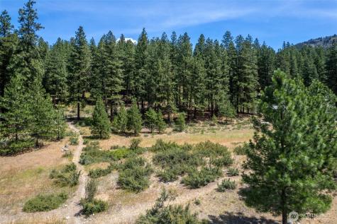 58 Homestead Road Winthrop WA 98862