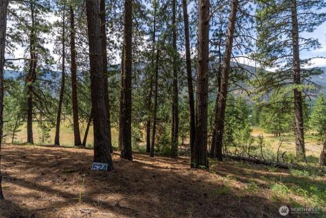 58 Homestead Road Winthrop WA 98862