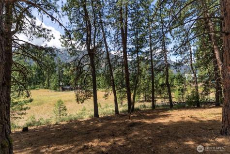 58 Homestead Road Winthrop WA 98862