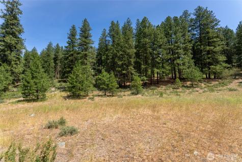 58 Homestead Road Winthrop WA 98862