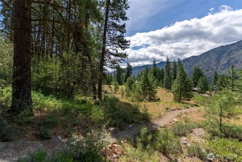 58 Homestead Road Winthrop WA 98862