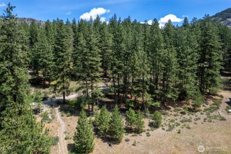 58 Homestead Road Winthrop WA 98862