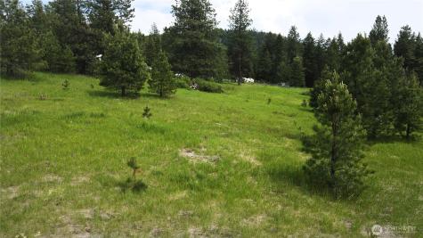 13 Miner's Ridge Road Oroville WA 98844