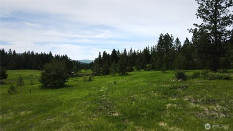 13 Miner's Ridge Road Oroville WA 98844