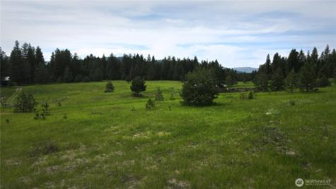 13 Miner's Ridge Road Oroville WA 98844