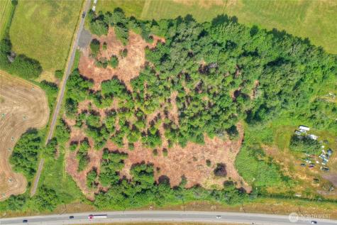 0 Old Wentzel Slough Road Elma WA 98541