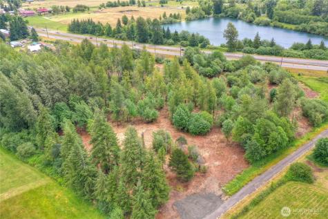0 Old Wentzel Slough Road Elma WA 98541