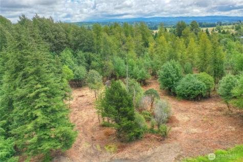 0 Old Wentzel Slough Road Elma WA 98541