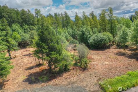 0 Old Wentzel Slough Road Elma WA 98541