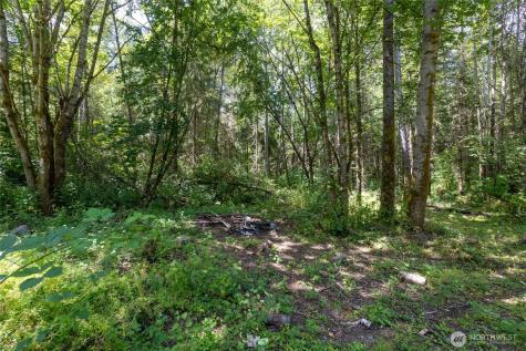 328 16th Avenue S Roy WA 98580