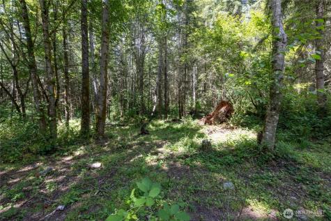 328 16th Avenue S Roy WA 98580