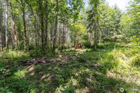 328 16th Avenue S Roy WA 98580