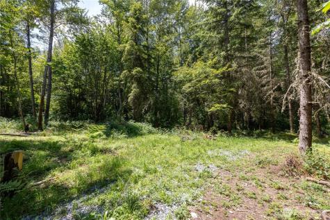 328 16th Avenue S Roy WA 98580
