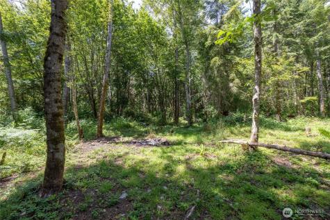 328 16th Avenue S Roy WA 98580
