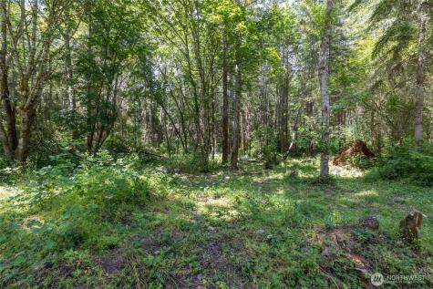 328 16th Avenue S Roy WA 98580