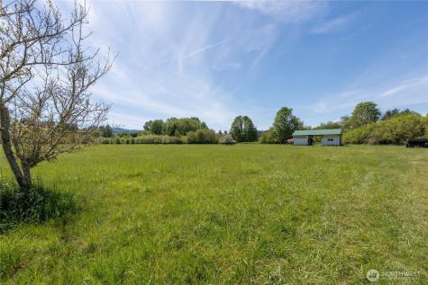 0 Alder Street Pe Ell WA 98572