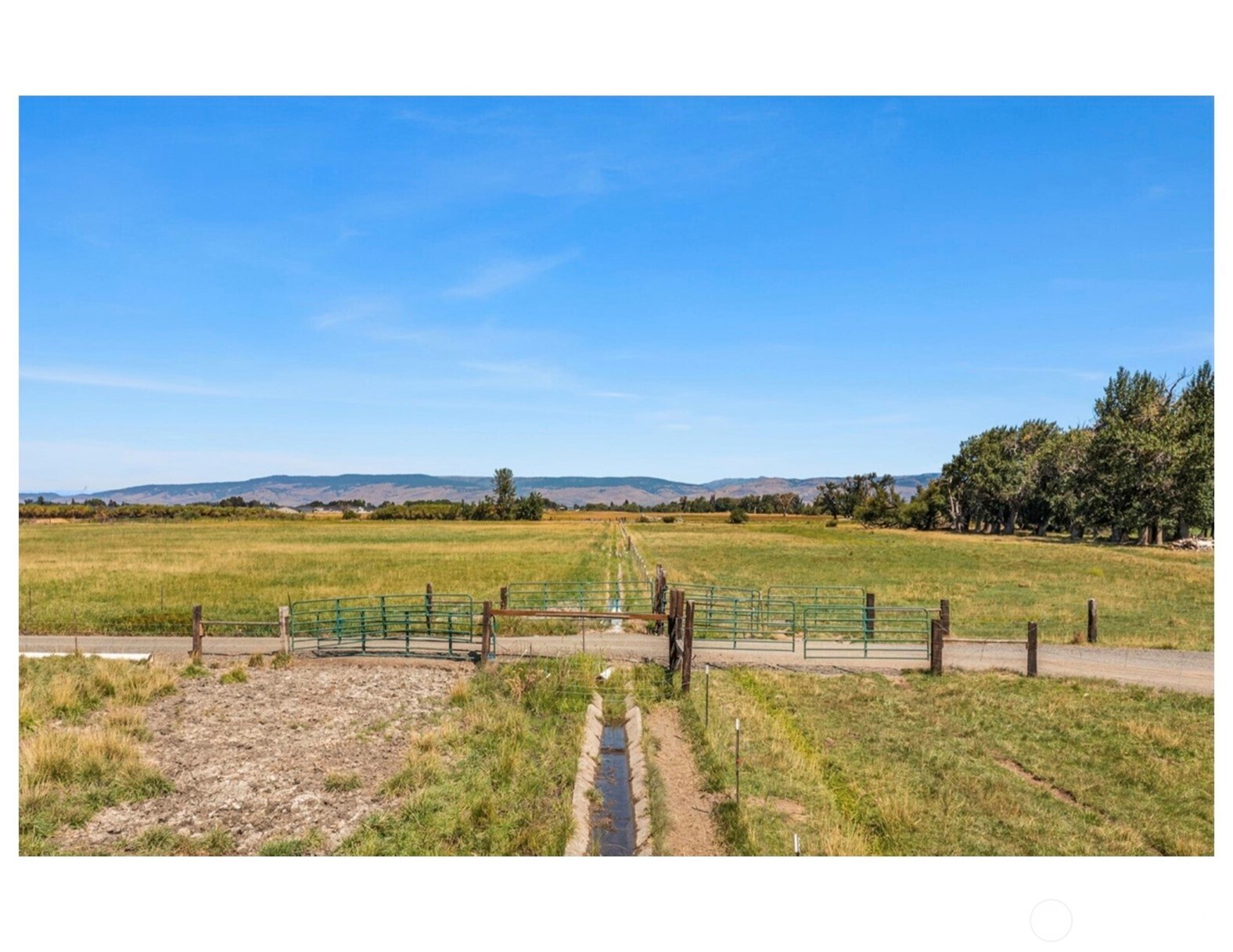 407 Walker Drive Ellensburg WA 98926