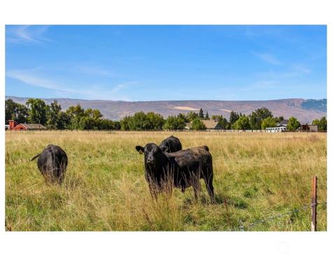 407 Walker Drive Ellensburg WA 98926