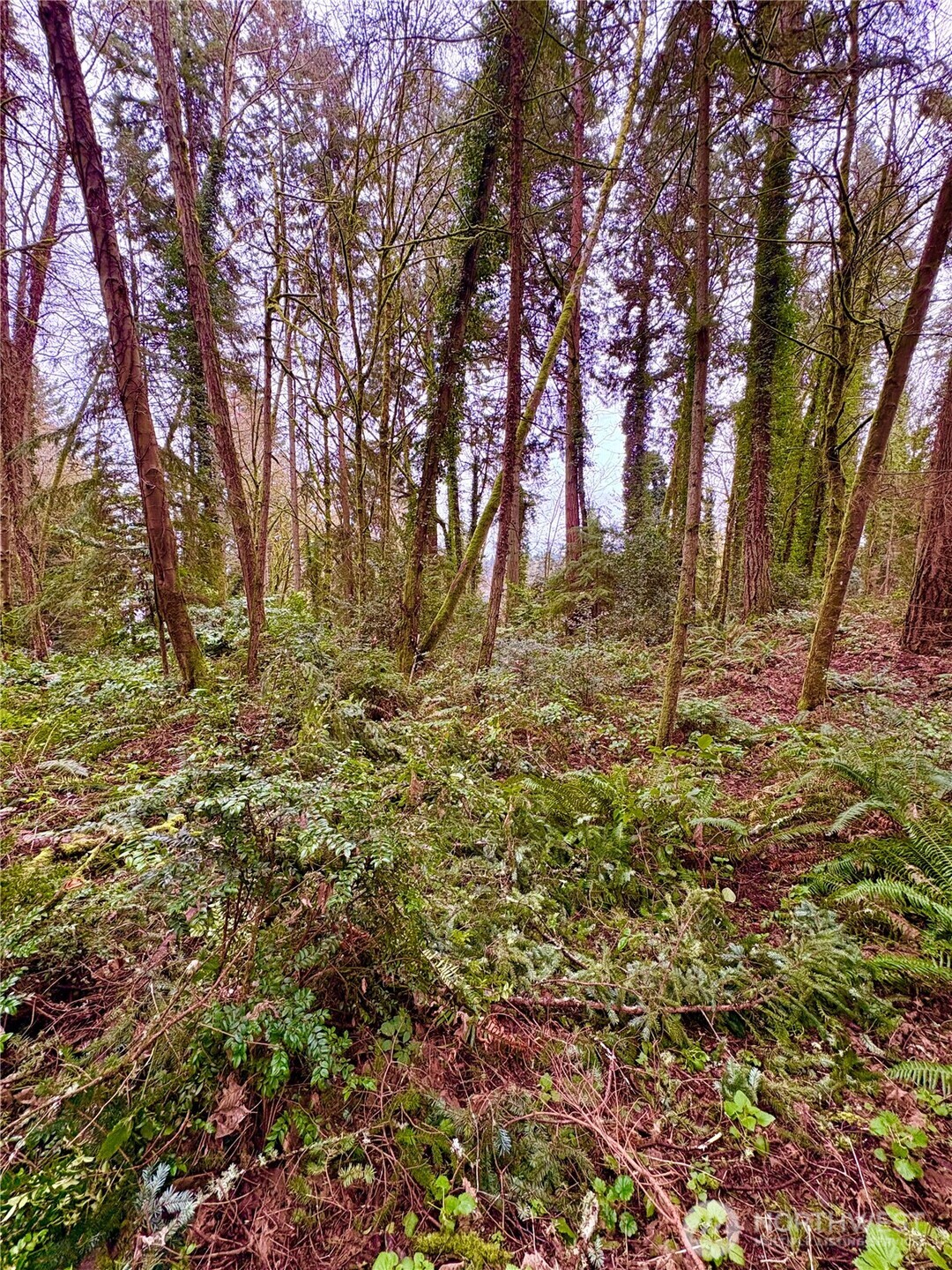 0 SW 230th Street Vashon WA 98070