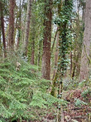 0 SW 230th Street Vashon WA 98070