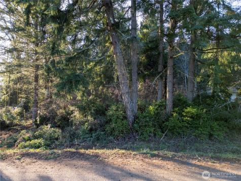 10916 Seaview Drive Anderson Island WA 98303