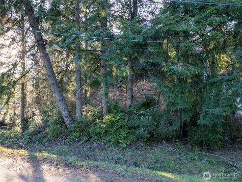 10916 Seaview Drive Anderson Island WA 98303