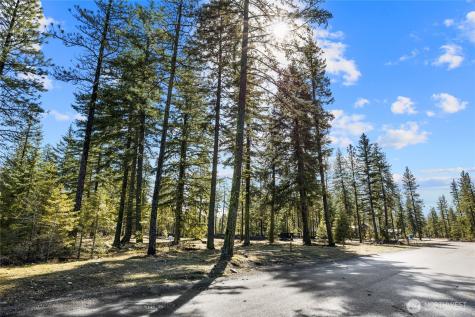 126 Wanawish Cle Elum WA 98922