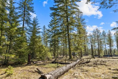 126 Wanawish Cle Elum WA 98922