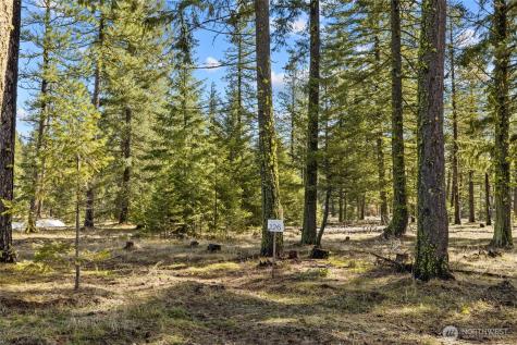126 Wanawish Cle Elum WA 98922