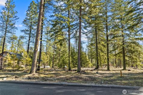 126 Wanawish Cle Elum WA 98922