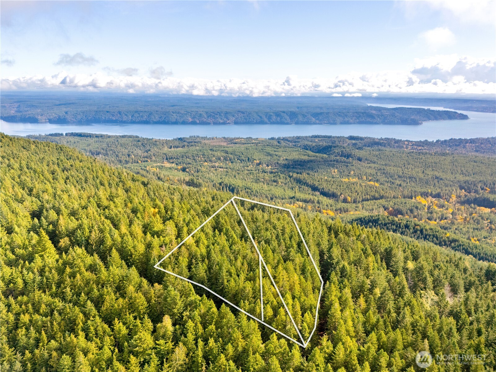 1350 N Hilltop Loop Road Hoodsport WA 98548