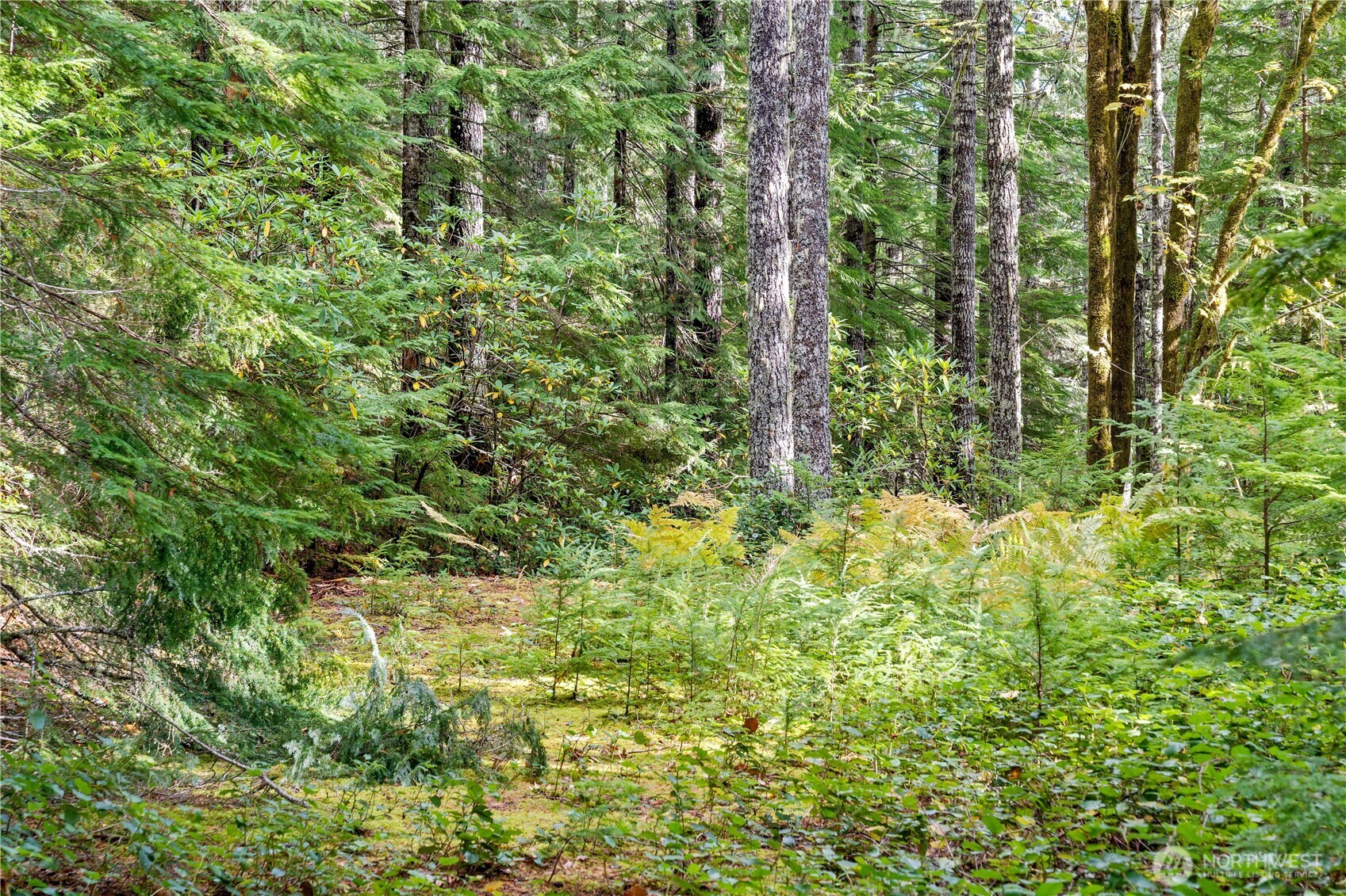 1350 N Hilltop Loop Road Hoodsport WA 98548
