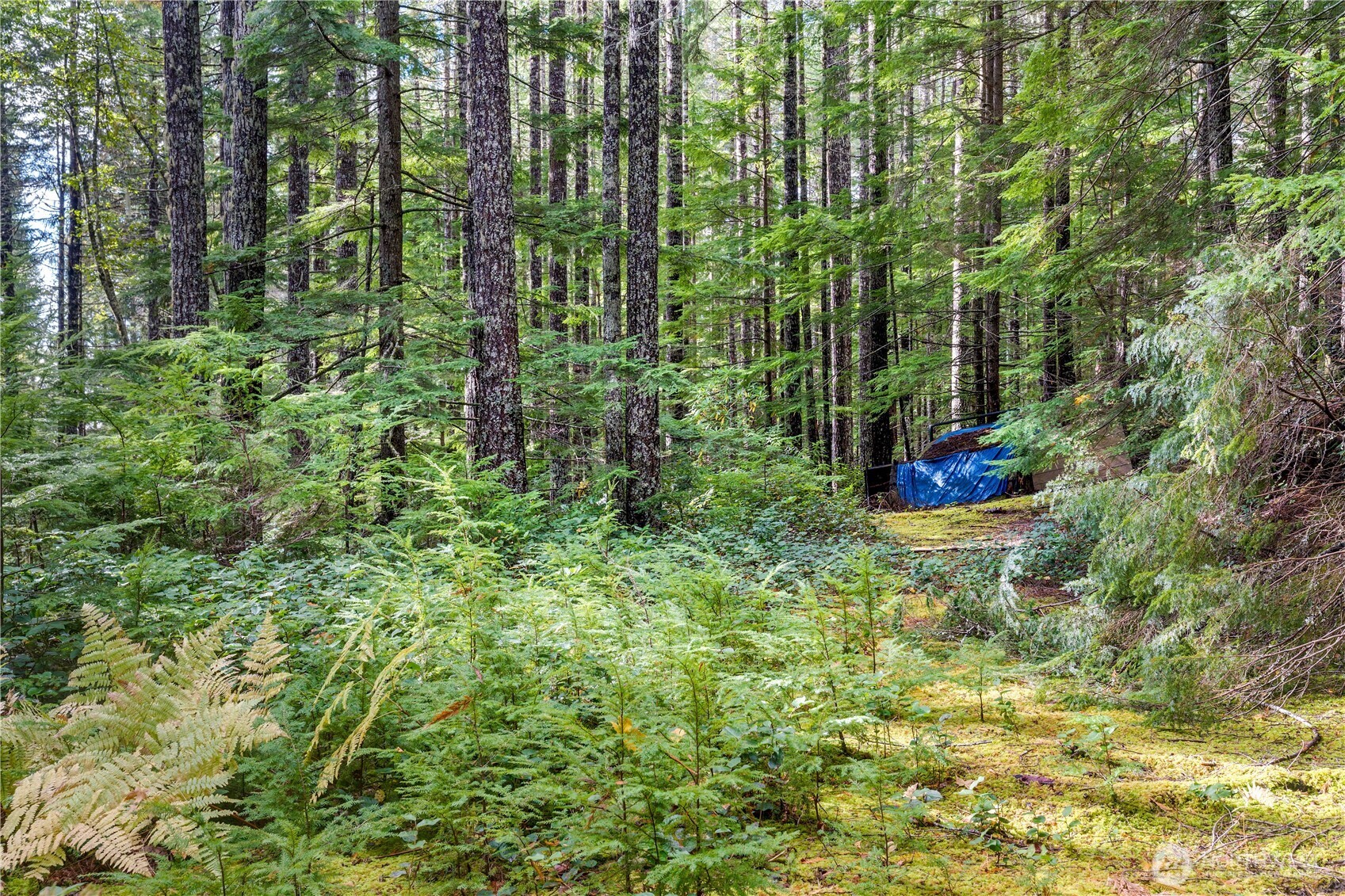 1350 N Hilltop Loop Road Hoodsport WA 98548
