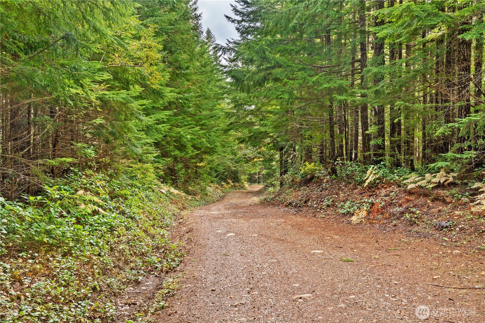 1350 N Hilltop Loop Road Hoodsport WA 98548