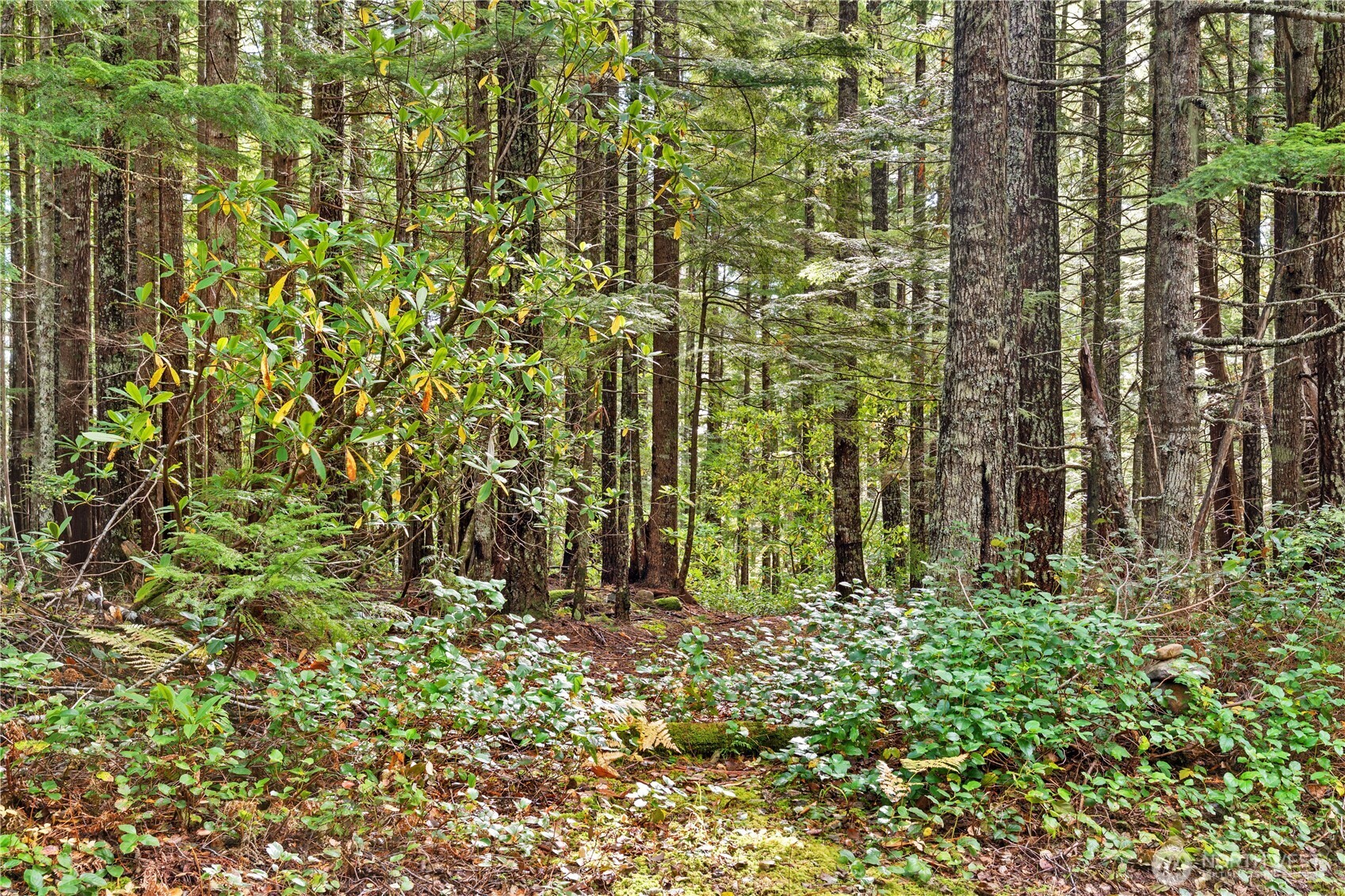 1350 N Hilltop Loop Road Hoodsport WA 98548