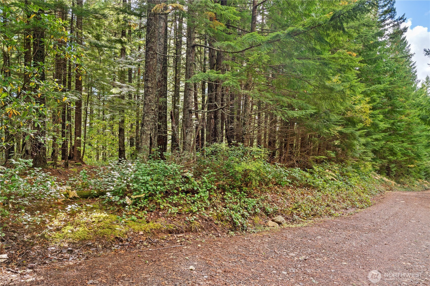 1350 N Hilltop Loop Road Hoodsport WA 98548