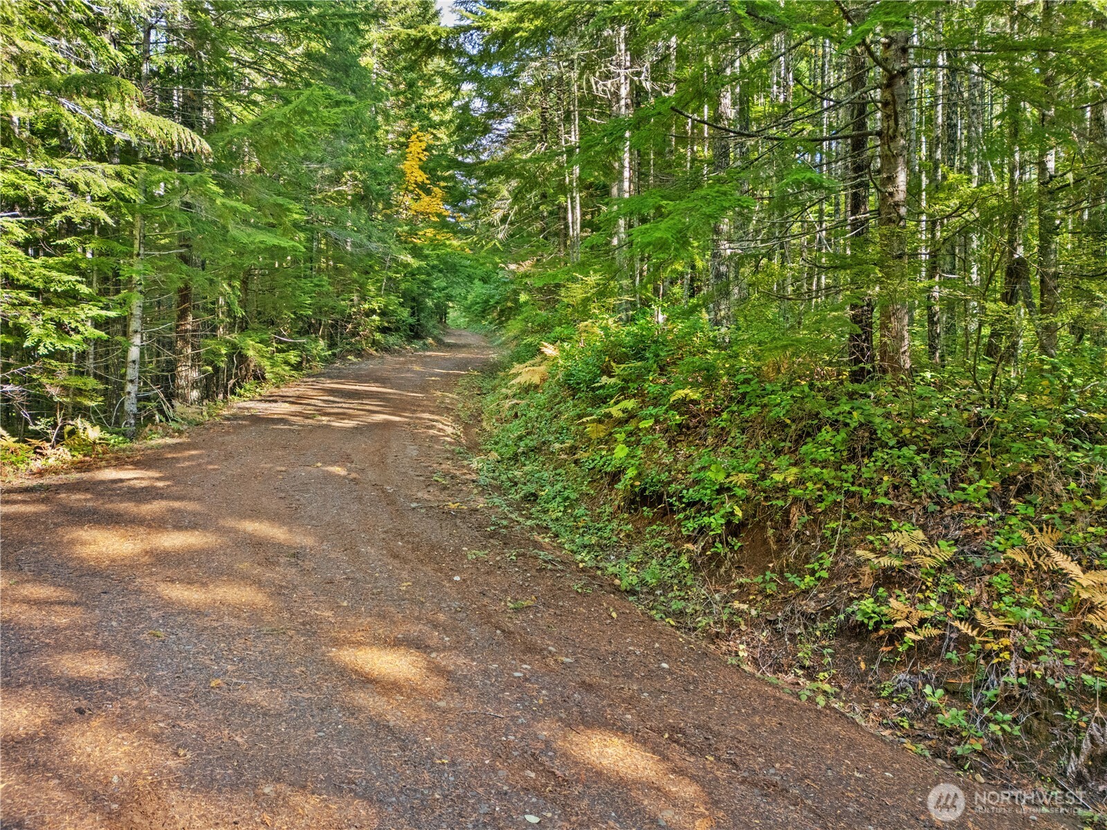 1350 N Hilltop Loop Road Hoodsport WA 98548