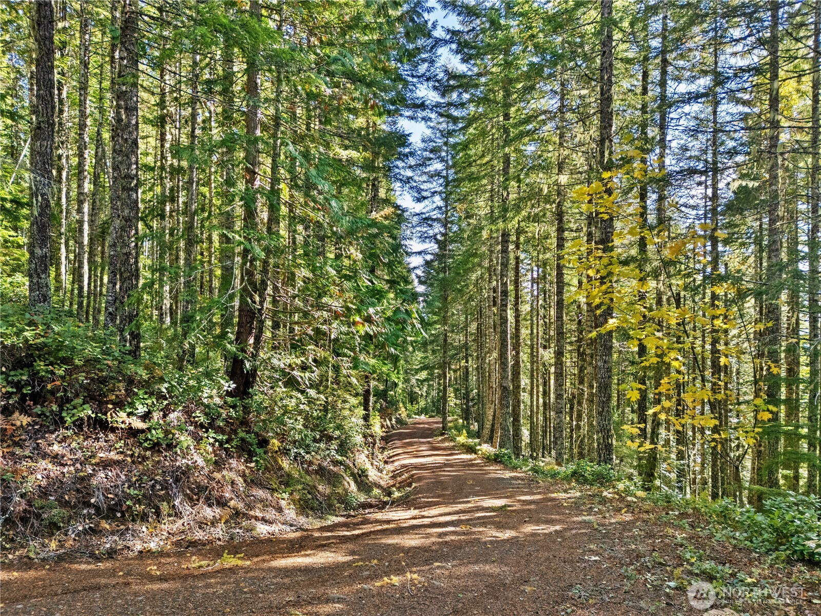 1350 N Hilltop Loop Road Hoodsport WA 98548