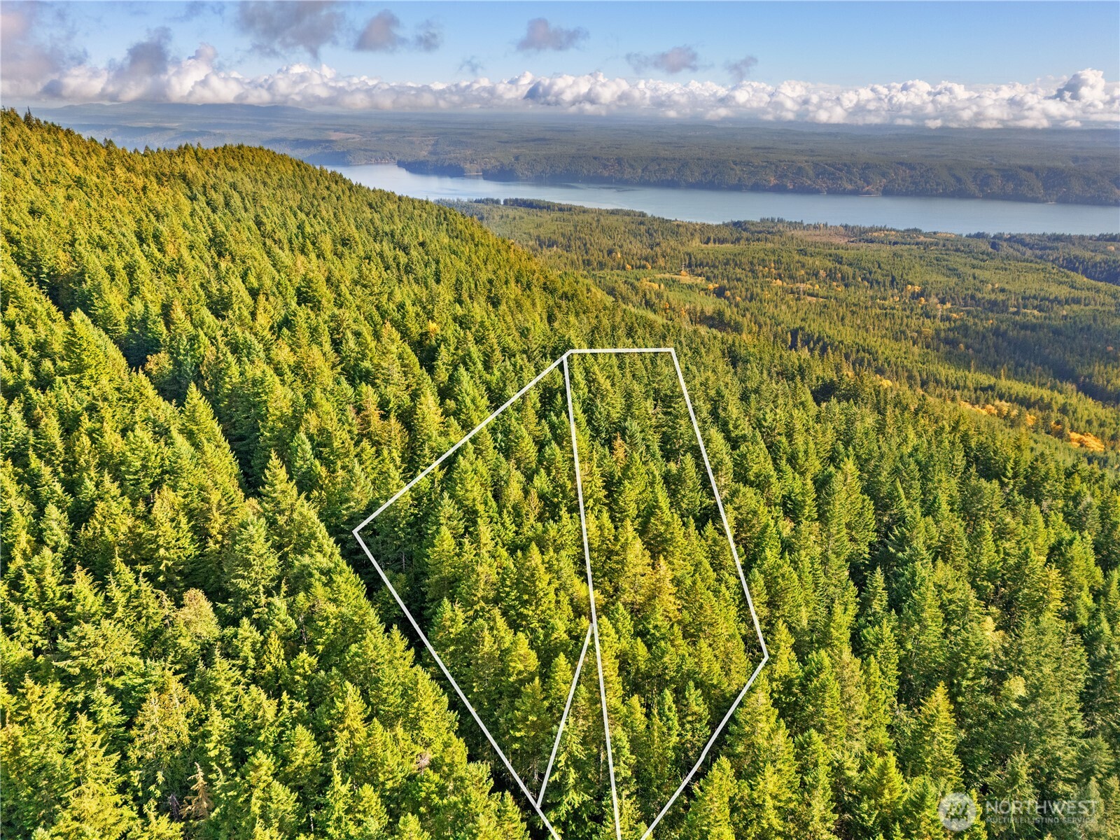 1350 N Hilltop Loop Road Hoodsport WA 98548