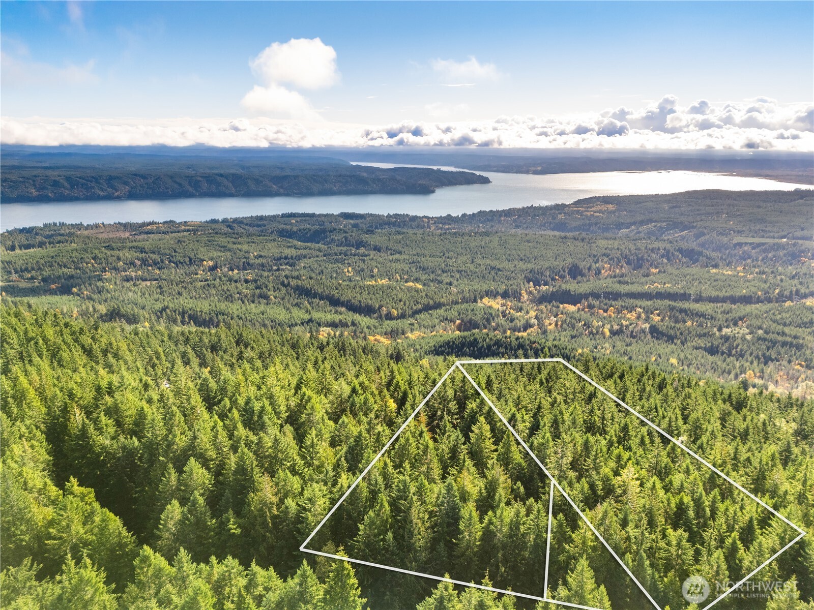 1350 N Hilltop Loop Road Hoodsport WA 98548