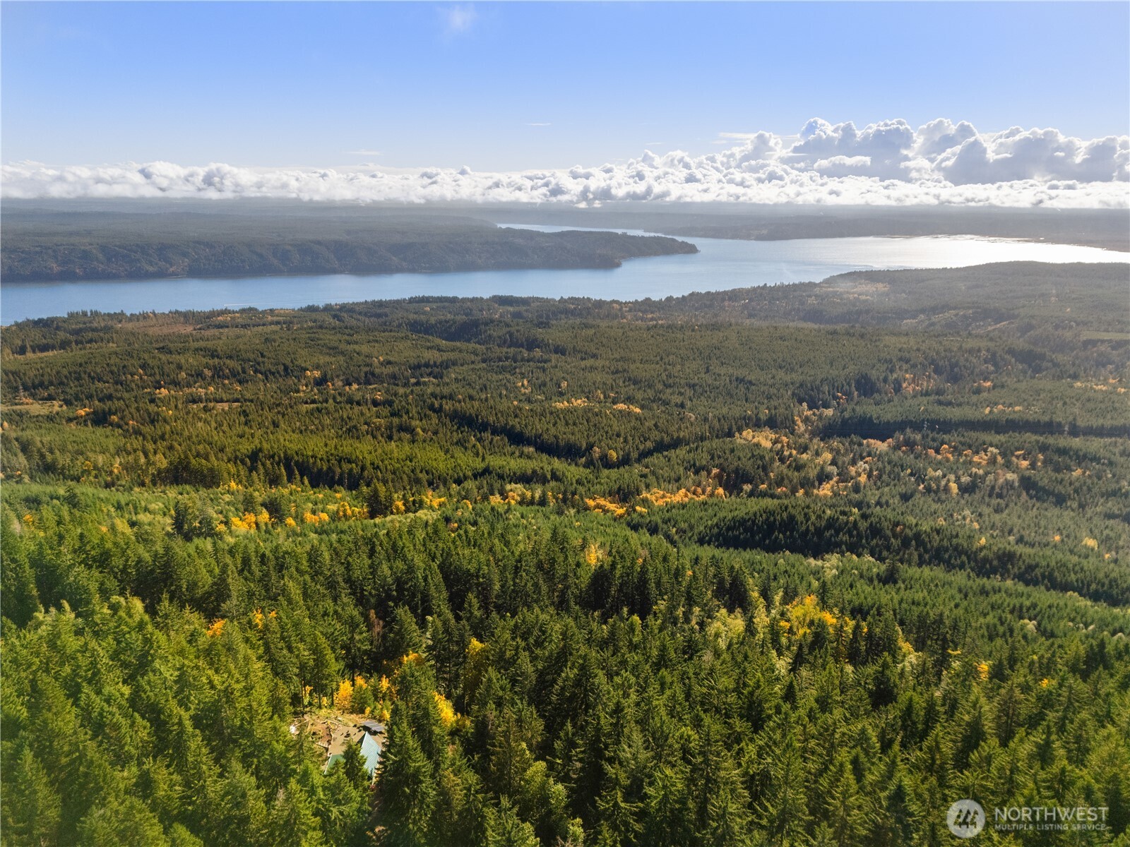 1350 N Hilltop Loop Road Hoodsport WA 98548