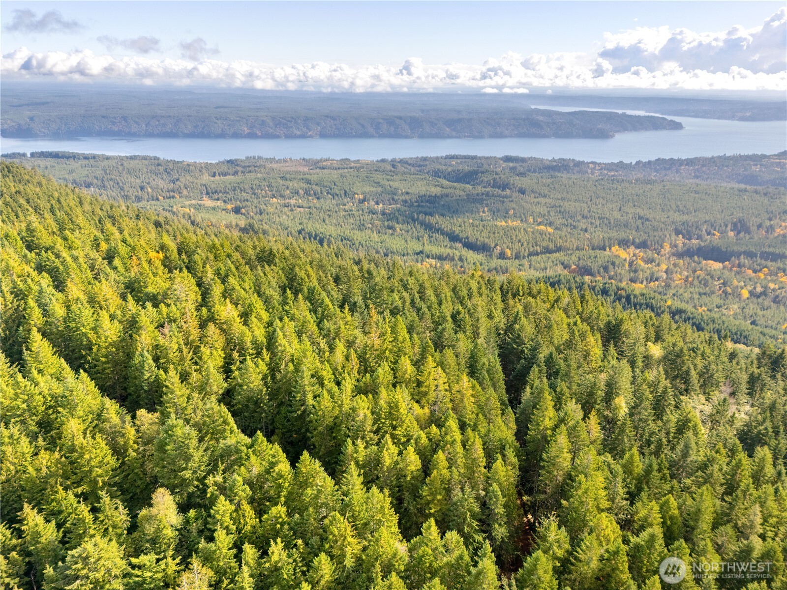 1350 N Hilltop Loop Road Hoodsport WA 98548