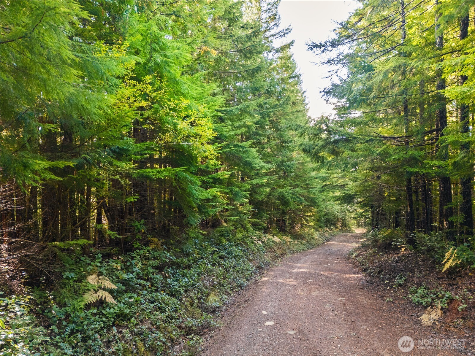 1350 N Hilltop Loop Road Hoodsport WA 98548