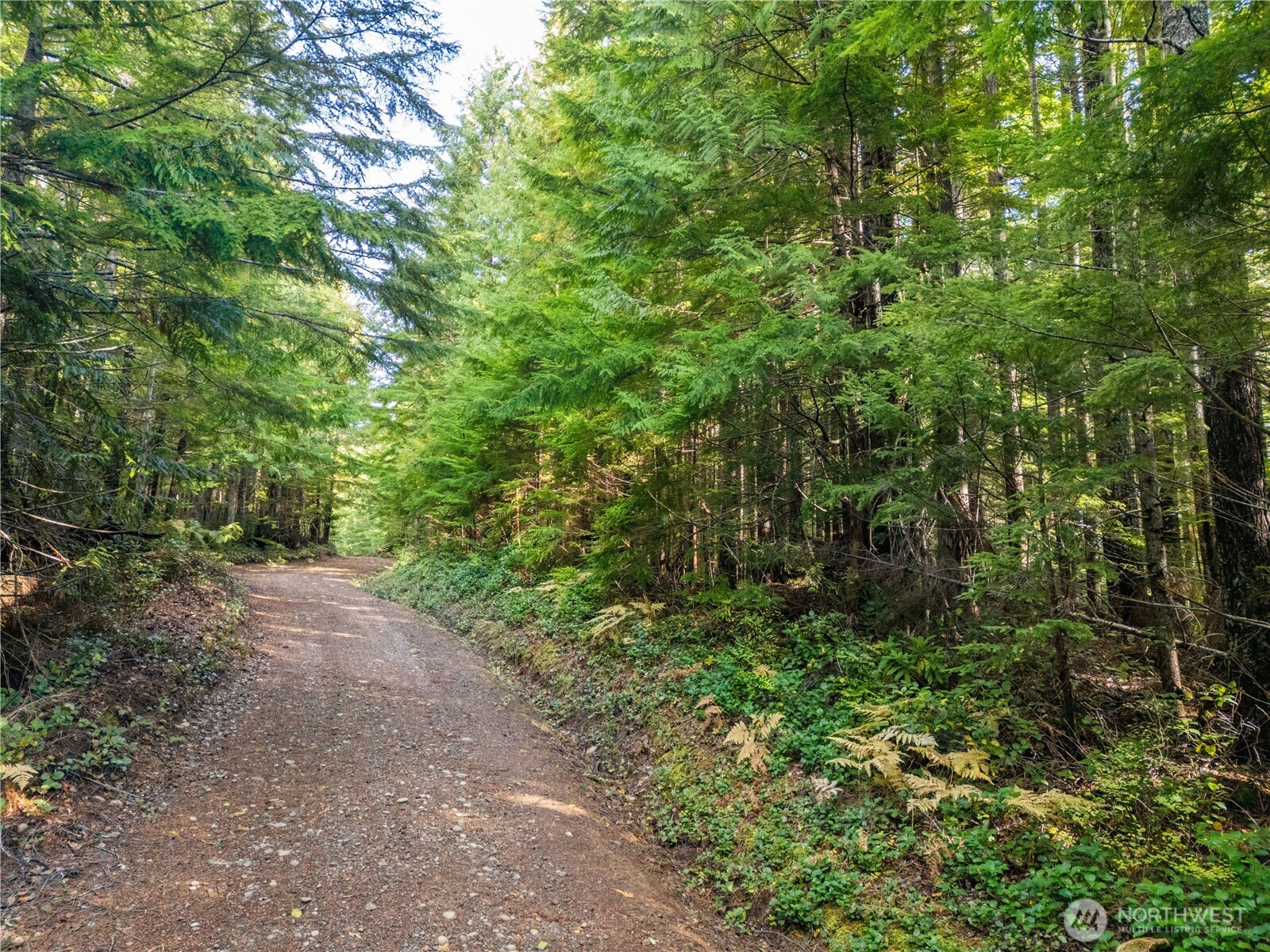 1350 N Hilltop Loop Road Hoodsport WA 98548