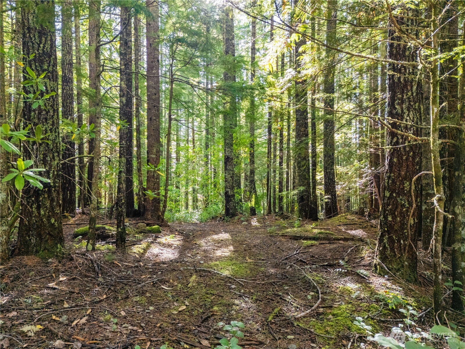 1350 N Hilltop Loop Road Hoodsport WA 98548