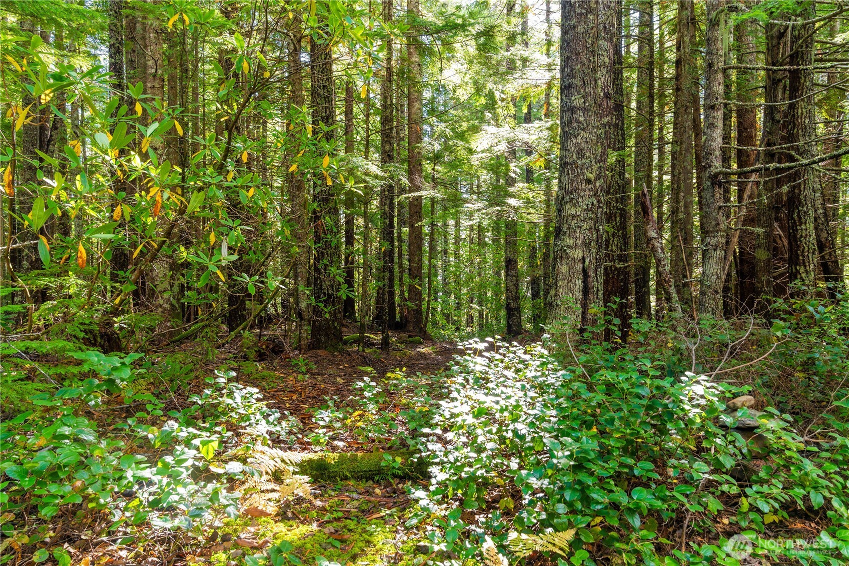 1350 N Hilltop Loop Road Hoodsport WA 98548