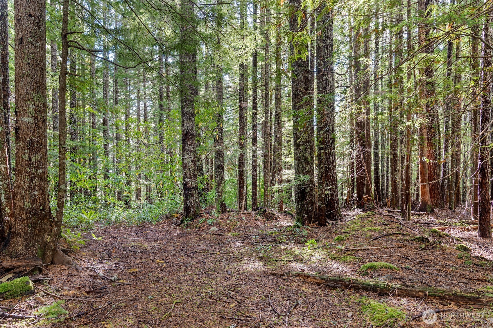 1350 N Hilltop Loop Road Hoodsport WA 98548