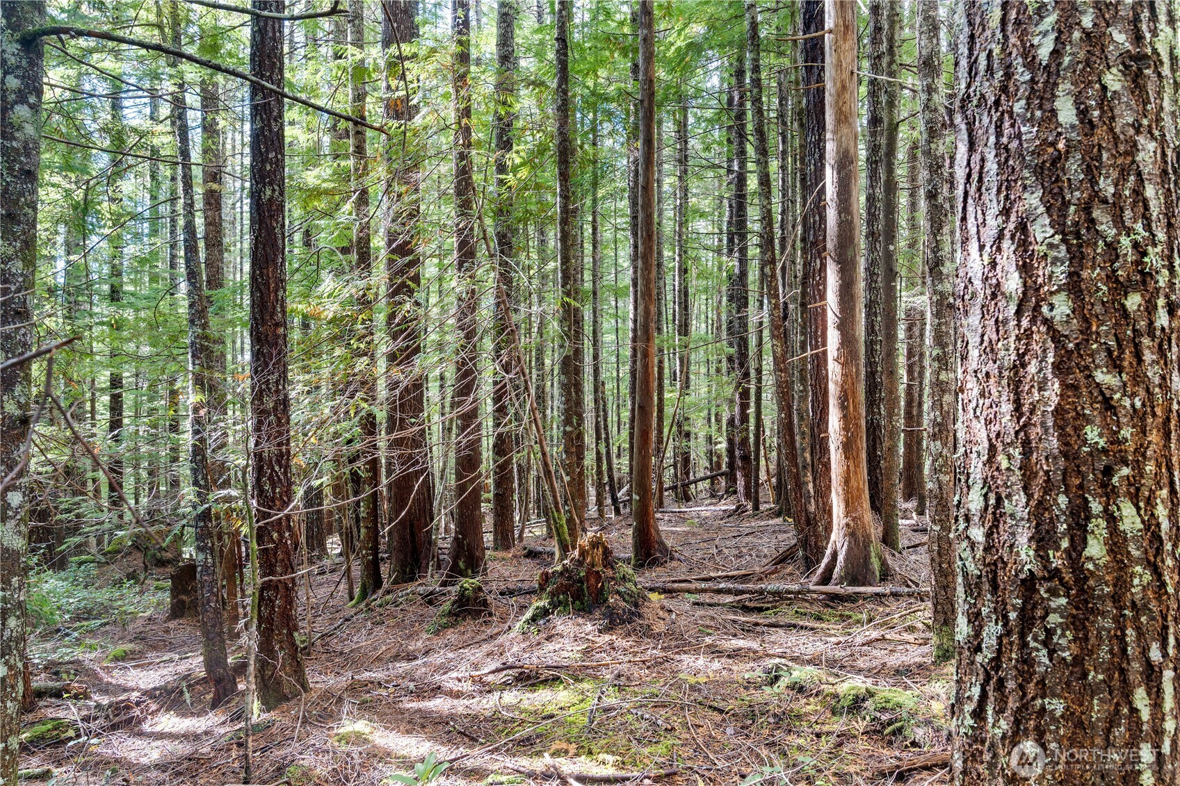 1350 N Hilltop Loop Road Hoodsport WA 98548