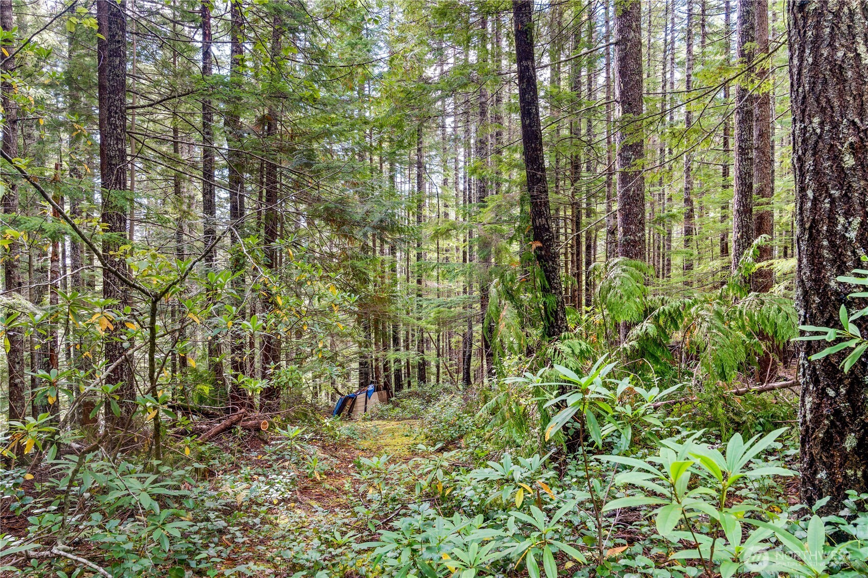 1350 N Hilltop Loop Road Hoodsport WA 98548