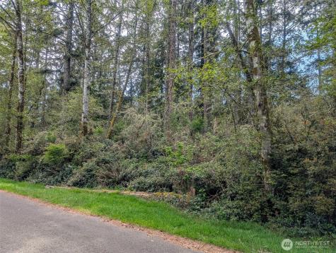 757 Evergreen Avenue SE Ocean Shores WA 98569